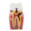 Dental Caries Model Tooth 6X Decay Demonstration for Teaching Labs 11