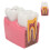 Dental Caries Model Tooth 6X Decay Demonstration for Teaching Labs 16