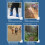 1 paio di gambali impermeabili da trekking blu 13