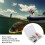 5 Pcs Realistic Mini Fishing Crankbaits 3
