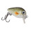 5 Pcs Realistic Mini Fishing Crankbaits 2