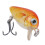5 Pcs Realistic Mini Fishing Crankbaits 6