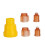 Bee Queen Rearing System Kit Plastic Box 16.7x11.6x3.5cm 9