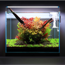 15W Waterproof Extendable LED Aquarium Light for Fish Tank Plant Lighting