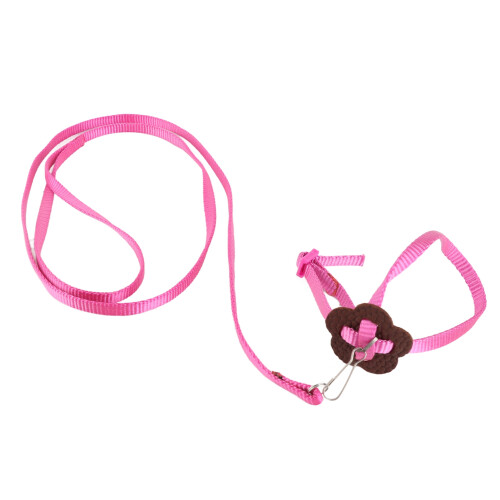 Adjustable Nylon Bird Harness & Leash for Parrots, 120cm, Rose 1