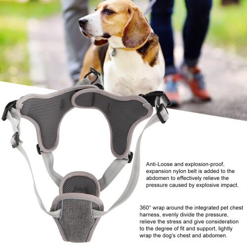 Adjustable Grey No Pull Dog Harness for Medium & Large Dogs XL 2