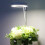 Indoor Plant Grow Light Dimmable 2/4/8h Timer Mini Circle LED Lamp 11