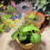 Indoor Plant Grow Light Dimmable 2/4/8h Timer Mini Circle LED Lamp 12