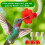 6pcs  Feeder Tubes and Stoppers with  Feeder Replacement Parts for Outdoor Making 2