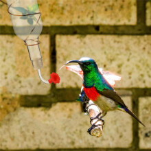 6 Stück Kolibri-Futterröhren und Stopfen mit Kolibri-Futterspender-Ersatzteilen für die Herstellung im Freien