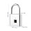 Rechargeable Smart Fingerprint Padlock, IP56, 20 Prints, Micro USB 2