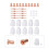 Plasma Cutter Accessories 40Pcs Durable Shield Cup Electrodes Ring Tips Kit 15
