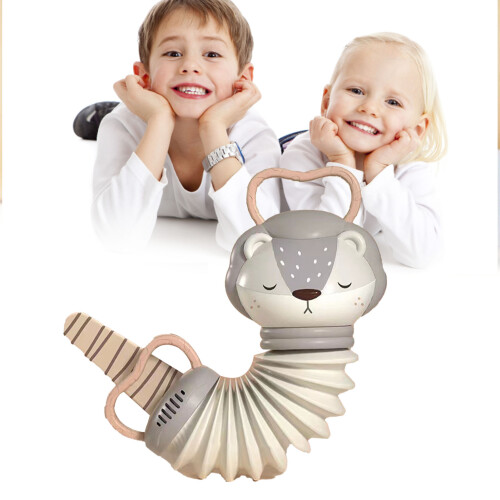 Akkordeon Musikinstrument Löwe für Kinder 1