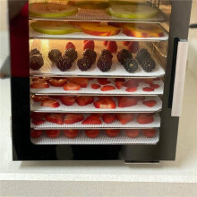 Silicone Dehydrator Sheets, Premium Non Stick Silicone Mesh for Fruit Dehydrator, Dehydrator Tray Reusable 36Pcs