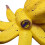 (Yellow) Rustic Resin Octopus Decor for Home 4