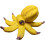 (Yellow) Rustic Resin Octopus Decor for Home 6