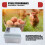20Pcs Eggs Incubator Set Semi Automatic Household Brooder Farm Chicken  Duck Bird Egg Incubator EU Plug 7