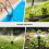 3-Way Automatic Water Timer Garden Irrigation Watering System Independents Control Sprinkler NH3/4Inch External Thread 8