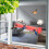 Window  Feeder,Suction Cup  Feeder for Window with Ant-Proof Feeding  and Perches 2