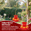 2PCS  Feeders for Ant Bee Proof Leak-Proof, 2 Pack 7 Ounces Plastic  Feeder with 8 Feeding 2