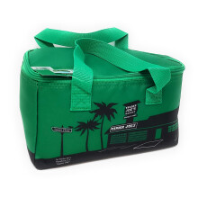 Small Insulated Lunch Bag Green Reusable Cooler Tote Holds 1.5 Gallons Lightweight Easy Carry