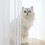 Window White Sheer Curtains 84 Inches Long 10 Panels Sheer White Curtains Clear Curtains Basic Rod Pocket Panel 4