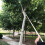 Telescopic Pole Saw 5m Extendable Tree Pruner for  Branch and Leaf Trimming from Ground 5