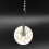 2X Reusable Syphon Coffee Cloth Filter Flannel Coffee Filter Electric Siphon Coffee Maker 3