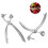 2 PCS Silver Metal  Pitter Olive Pit Easy Remover Hand Removal Core Tool Kitchen Fruit Vegetable Corers Pitter 3
