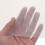 3X 10Mx2M Insect Bug Fly Fruit Cage Mesh Net Netting Vegetable Plant Protection 6