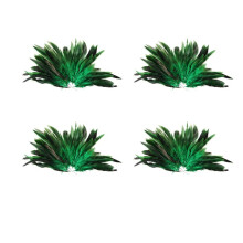 Approx. 200Pcs Dyed Decoration Rooster Cock Feather Green