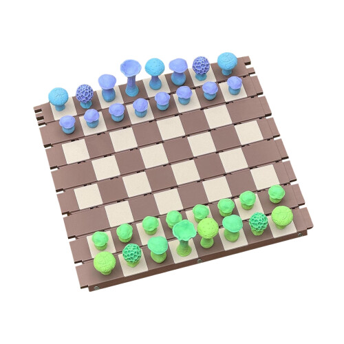 Kids Travel Chess Set - Logic Training Toy