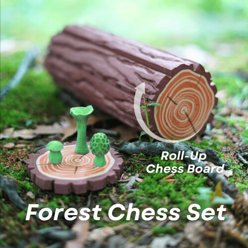 Kids Travel Chess Set - Logic Training Toy 1