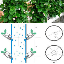20 Juegos de Sistema de Cultivo Hidropónico Sin Suelo Kit de Vivero Hidropónico DIY