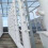 20 Sets Hydroponic Soil-Free Growing System DIY Hydroponic Nursery Garden Kit 5