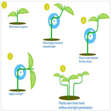 180 Stks 360 Graden Verstelbare Buig de Plant Clip Plant Bender voor Low Stress Training Plant Training Gebogen Plant Houder