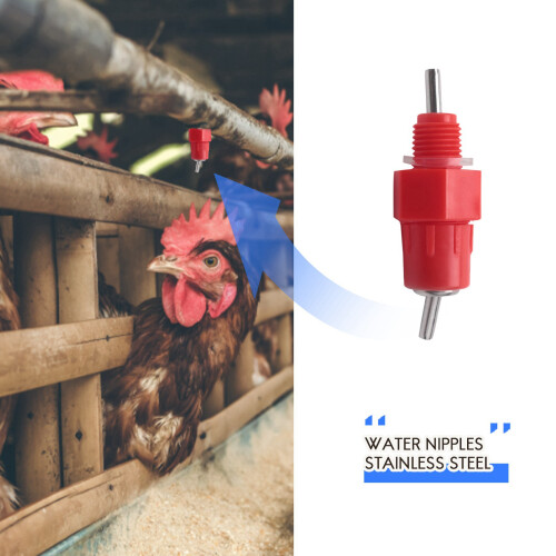 15Pcs Water Nipples Stainless Steel  Drinker Poultry Chicken Duck Screw 2