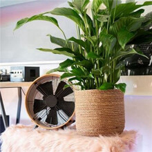 2X Seagrass Flower Pot - Woven Plant Pot - Decorative Plant Basket with Plastic Film Insert in Boho Style M