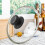12 Pieces Pot Lid Knob Pan Lid Holding Handle Universal Kitchen Cookware Lid Replacement Knob 1