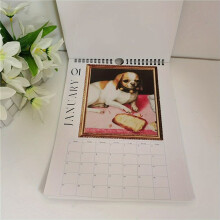 2X Renaissance Calendar,2025 Wall Calendar Art - Special Thick Sturdy Ugly Dog Wall Calendar for Organizing