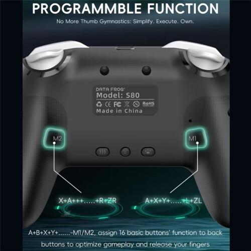 DATA FROG Wireless  Controller for  2//Lite/OLED RGB Lighting Controller 6-Axis+Vibration+Turbo 2