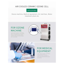 AC220V 10G Tube Ozone Generator with Power Supply Working 24hours Internal & External Electrodes Air Cooled Generator