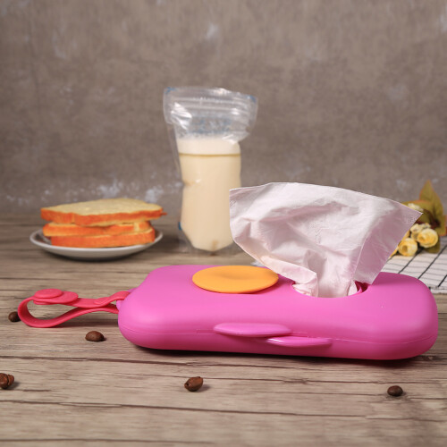 Compact Travel Wipes Case for Babies
