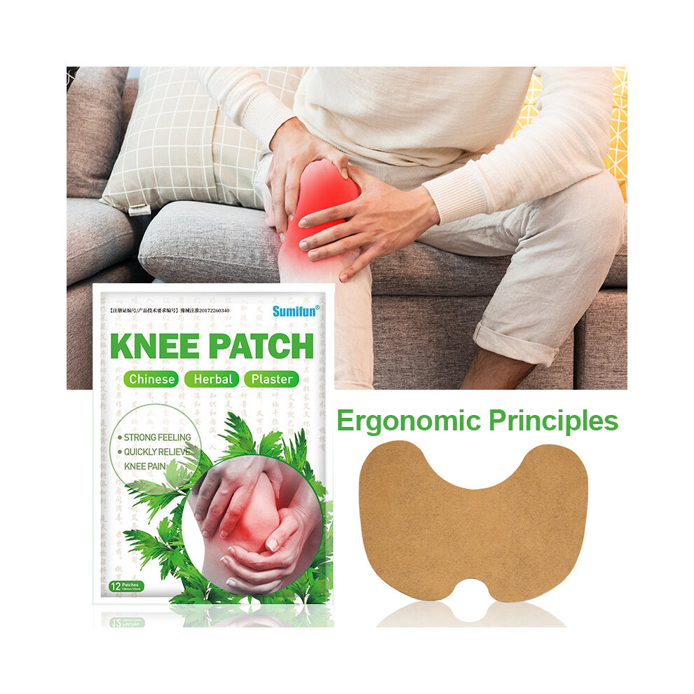 Dachuang Beauty 12Pcs Knee Pain Relief Patches - Herbal Moxibustion Plaster