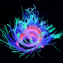 Sea Anemone Water Plant Decoration for Aquarium 50cm Silicone Yellow