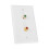 Durable Multi-Functional 2 RCA Wall Plate for Home & Office Use 14