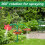 Aspersor de grădină Dancing Daisy, plastic, 76 cm, set 1 5