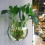 (M) Hydroponic Fish Tank Vase for Home Office 2