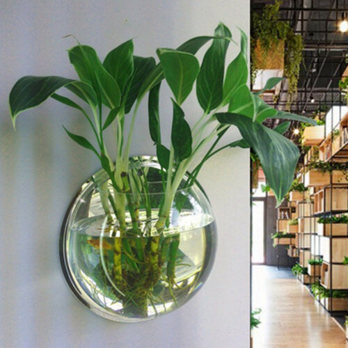 (S) Hydroponic Fish Tank Vase for Home Office 1