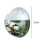 (M) Hydroponic Fish Tank Vase for Home Office 7